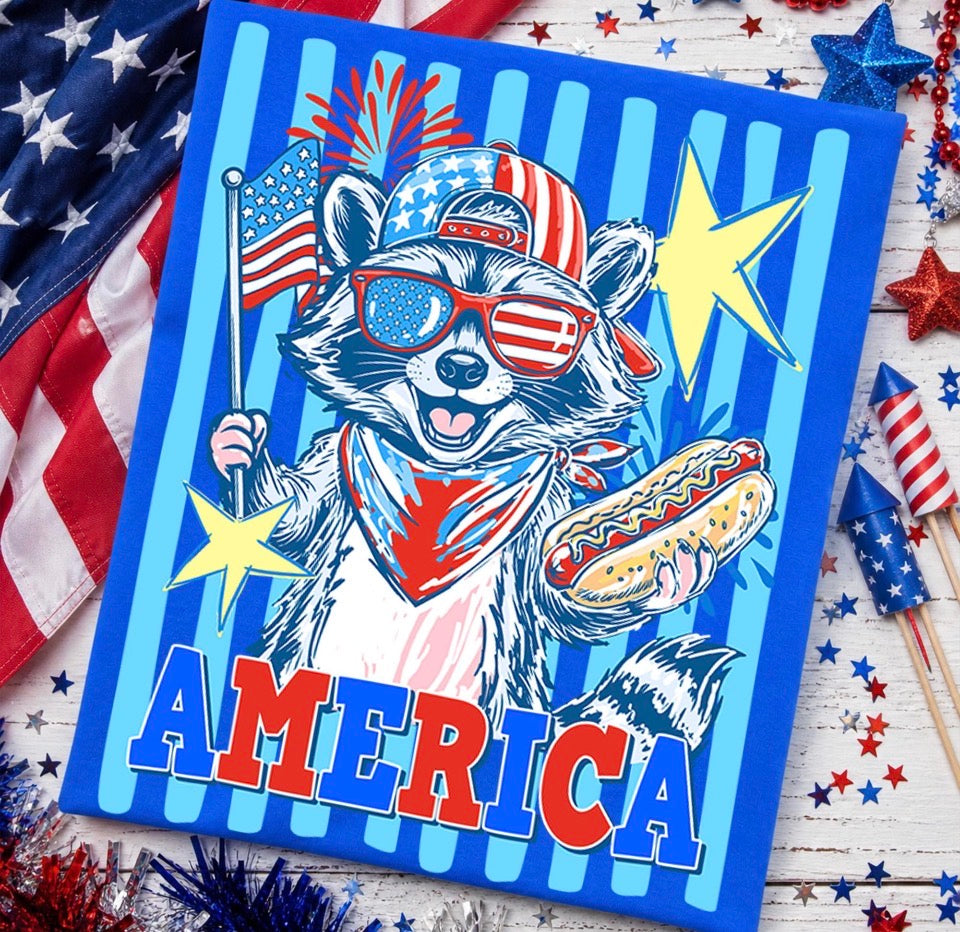 America Raccoon Graphic Tee